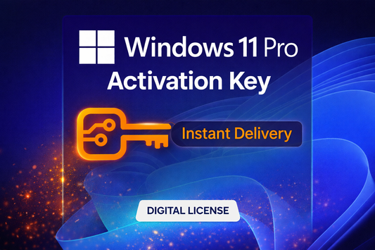 Windows 11 Pro activation key digital license instant delivery from AIDigitalKeys